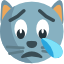 :crying_cat_face: